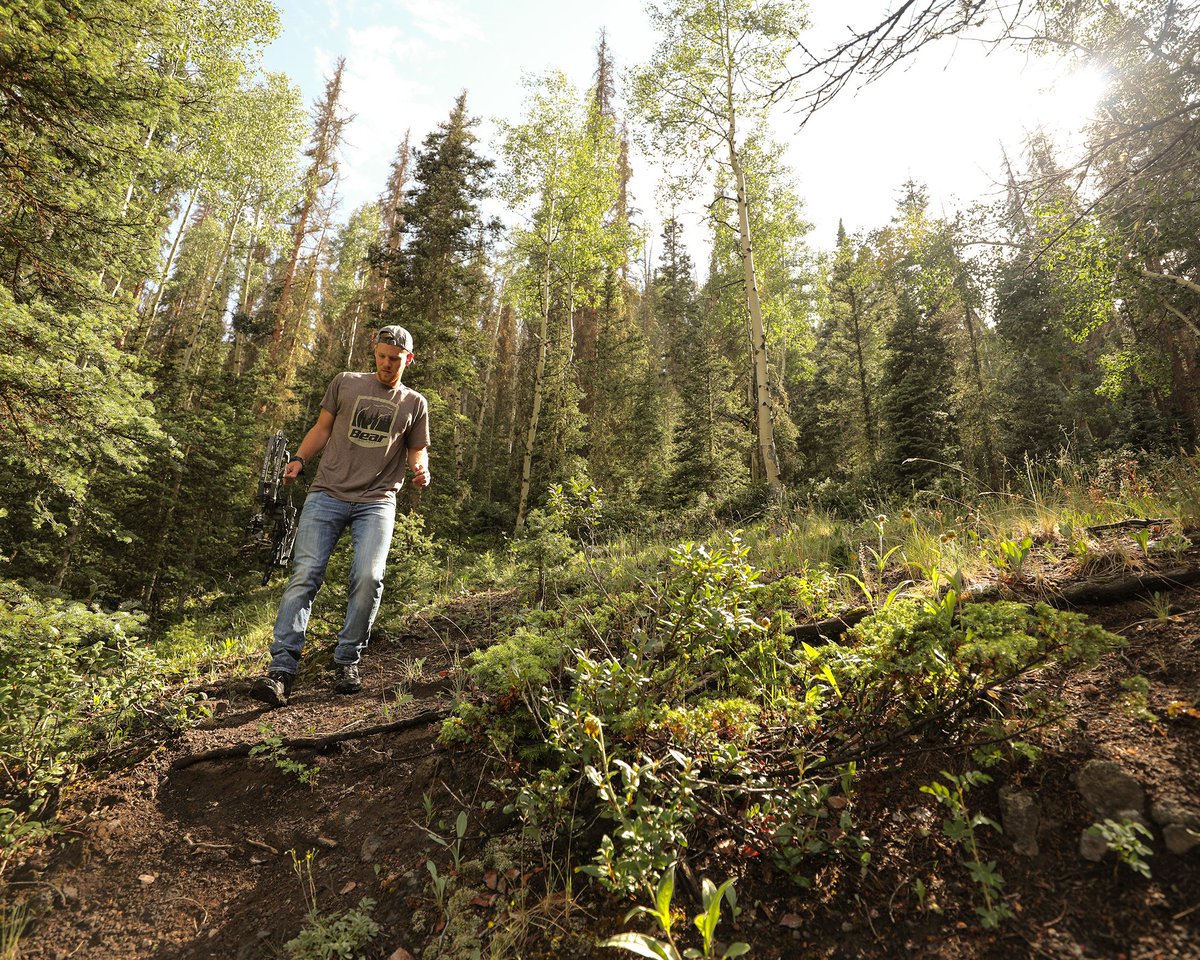 BearArchery's tweet image. Hot summer days mean we're that much closer to deer season. | @identicaldraw 
#BearArchery #TheCountdownContinues #LegendSeries #BearKuma