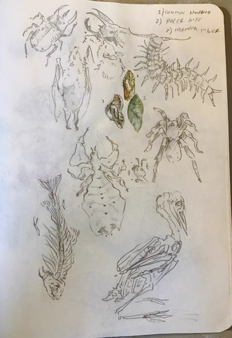 visiting a friend in dc today and did some museum sketching ✨✨✨ 