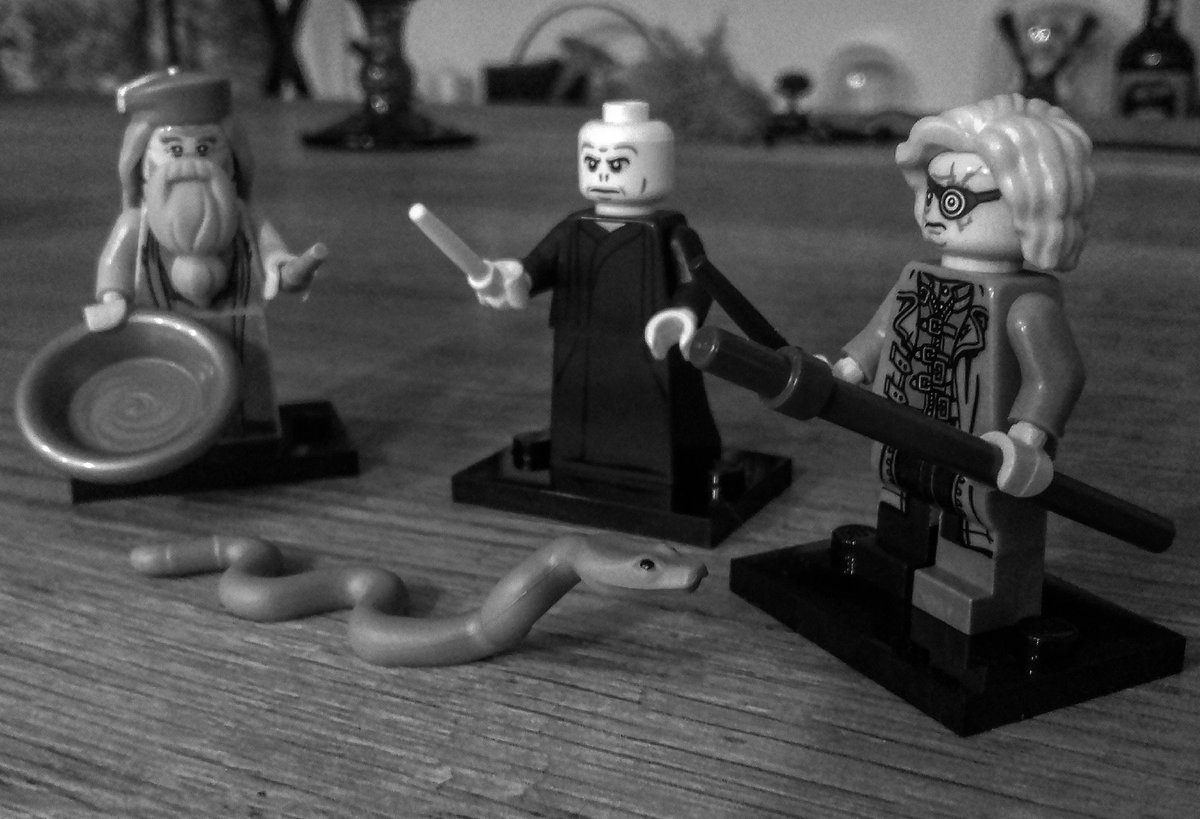 rsienicki's tweet photo. New friends. #Lego #HarryPotter #BELEgo https://t.co/KiKoAiTJk4