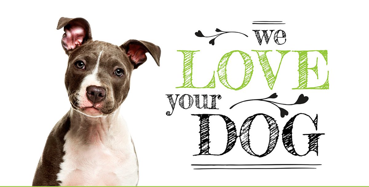 leafydogsupport's tweet photo. Leafy Dog – We are open for business! - https://t.co/vucD2nzFGr https://t.co/2oq2iSc6wO