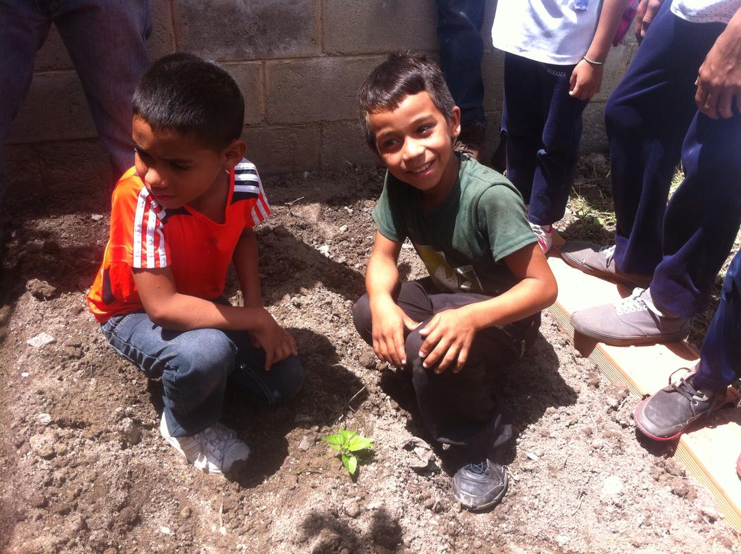 AraguaRecicla's tweet photo. Niños de la Urb.Girardot realizaron visita a la #PlantadeReciclaje de #FUNDAC. Durante la Actividad recibieron información y participaron en una divertida dinámica de #clasificacióndeResiduos culminando con la siembra de árboles en el sector #AraguaRecicla https://t.co/yyh47RwkZu