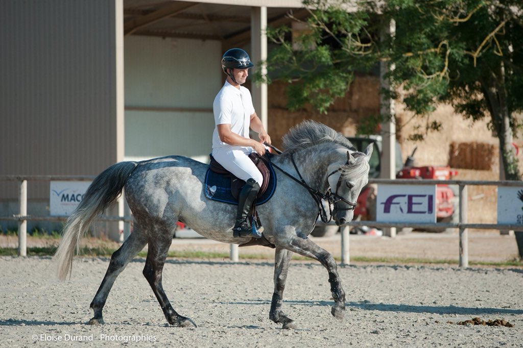Team_Fontanelle's tweet photo. Quelques souvenirs de Mâcon Chaintré, où tous mes chevaux ont très bien sauté 😍 https://t.co/Xnpq3w5Got