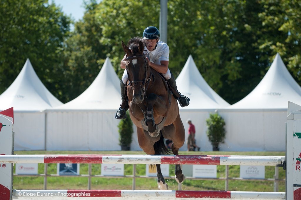 Team_Fontanelle's tweet photo. Quelques souvenirs de Mâcon Chaintré, où tous mes chevaux ont très bien sauté 😍 https://t.co/Xnpq3w5Got