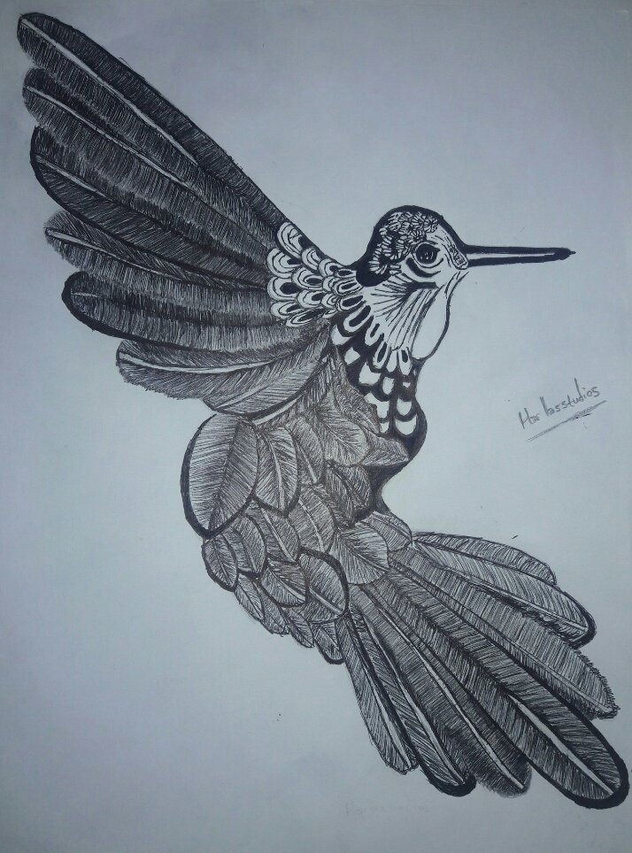 Kanat çırpıyordum sonsuzluğa  
Arı kuşu gibi
Mutluyum artık ZÜMRÜT gibi
Veya GÖLGE nin gülüşü
Çırpıyorum kanatlarımı daha güçlü sonsuzluğa ve Galaksiye 
Hayal et sadece sonra gözlerini kapa ve saniyeleri hatta zamanı durdur. Şimdi gözlerini aç 
Gerçek Rüya başlıyor artık
 #harlas