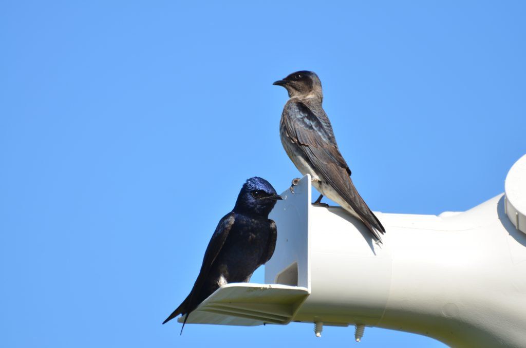 Patama Chantaruck tweet media