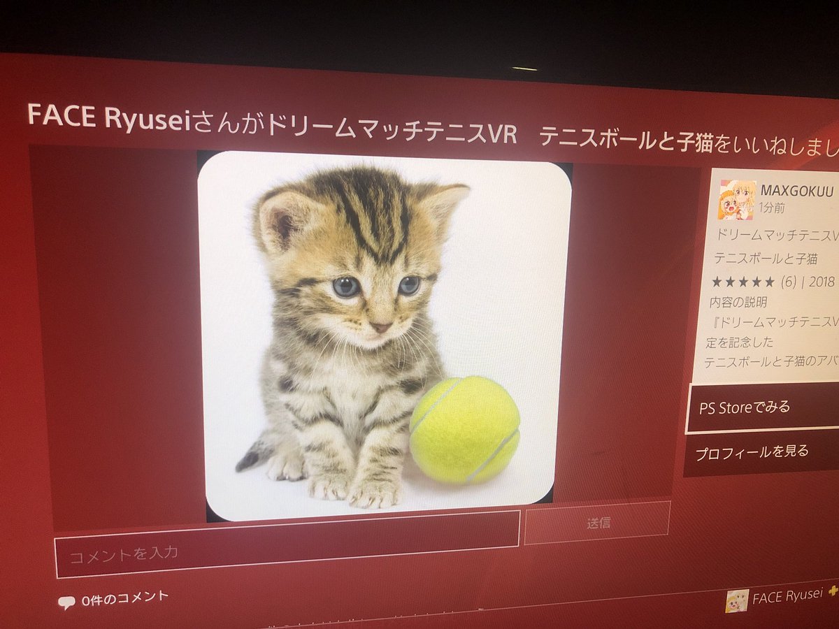 りゅうせい Zz ねこちゃんのアバター なんてあったんやね Ch めっちゃ可愛い ﾟ Ps4アバター 子猫