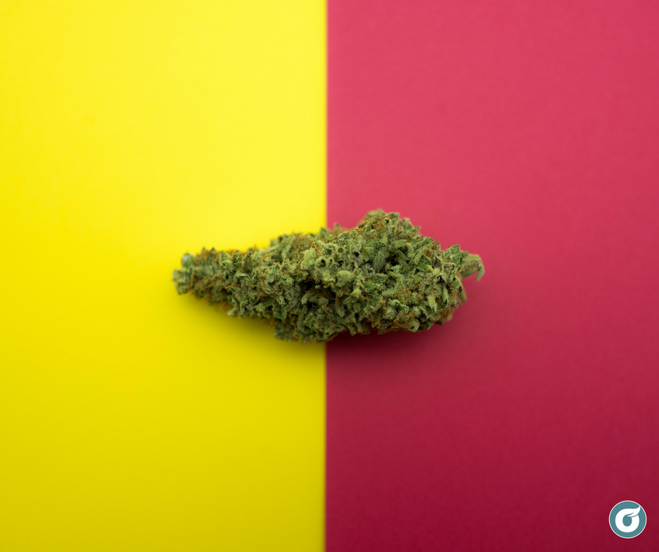 SolevoWellness's tweet photo. It's official! Dry leaf medical marijuana will be available at Solevo beginning this week on Wednesday, August 1st! Get the details from our latest blog post!

https://t.co/iCi1ylXknV https://t.co/tceru3hNqT