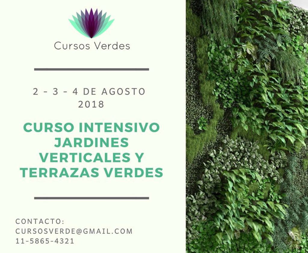 SemillasPicasso (@semillaspicasso) on Twitter photo 