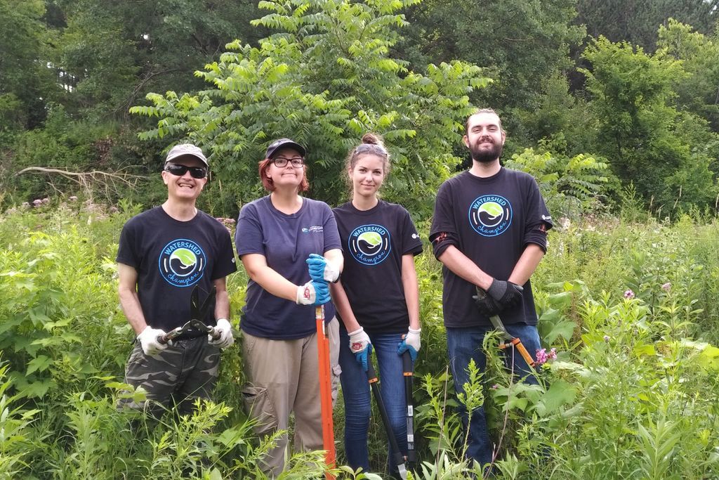 EtobMimicoCreek's tweet photo. #TreeLovingCare! Our staff and #citizenscience volunteers are taking care of #plants by removing #invasivespecies and giving them a good drink of water. #Hardwork #MotivationMonday #YTMProgram https://t.co/wwdAdjFBfJ