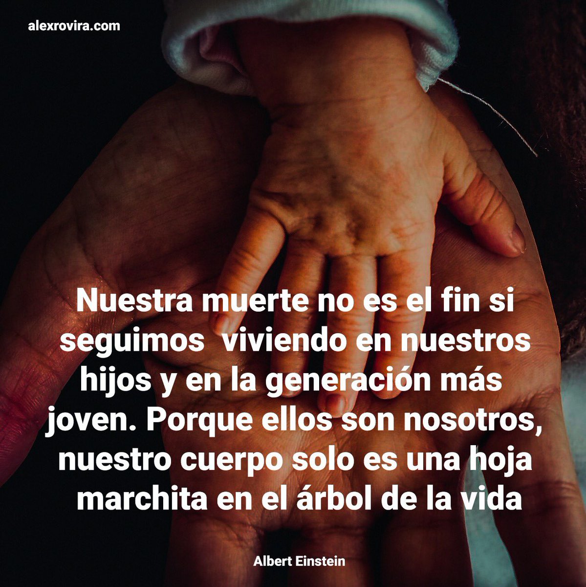 alexroviracelma's tweet photo. https://t.co/AcUAUSX5ir