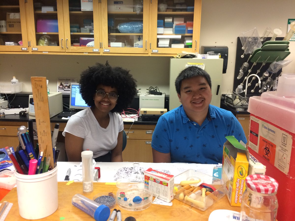 TranielloLab's tweet photo. Over the past three weeks we have had the privilege of hosting our Upward Bound students Khanh and Gitu! They dissected, imaged, and analyzed ant brains. We hope you had a great time learning about insect ecology in @BU_Biology! https://t.co/Nc10JxOPLN
