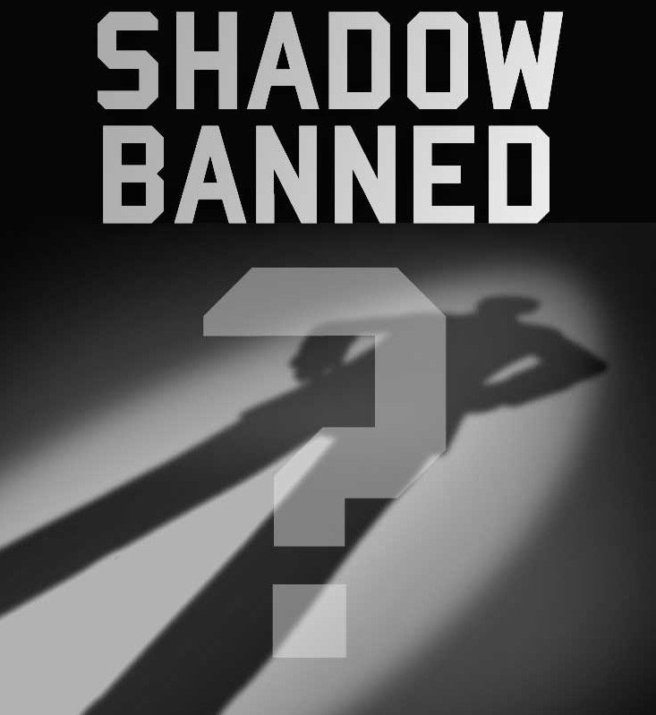 EuropeanSunrise's tweet photo. EuropeanSunrise proudly announces to our friends + comrades that our account is being shadowbanned by the Twitter censors. This is like receiving an 'Order of the Iron Cross 2nd Class' (for bravery before the enemy). (1st Class is awarded when they block access to the account) https://t.co/VAAaFCcRND