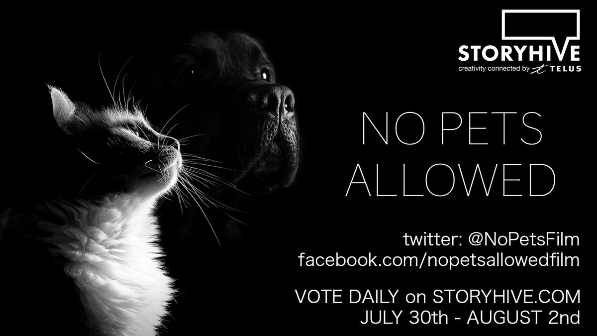 No Pets Allowed - Film tweet media