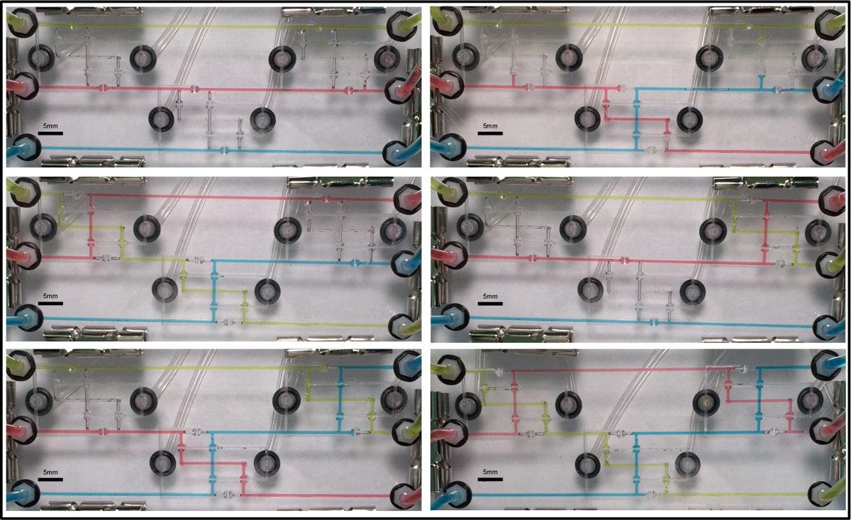 metafluidics's tweet photo. Take a look at this Transposer developed by rjsilva. To find out how to make this device yourself, find out more at https://t.co/QKjtpS4Qel . #transposer #micromilling #microfluidics #metafluidics #polycarbonate #awesomescience https://t.co/tGaflCbyn2