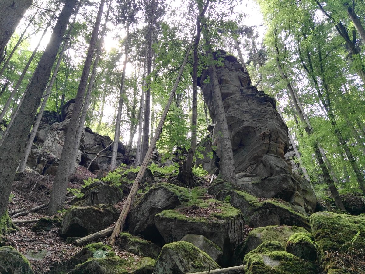 Skizzenbildner's tweet photo. Hier noch ein paar Bilder von meiner gestrigen Tour bei #Ernzen. Zu sehen sind die beeindruckenden Felsenpfade des Prümtals, die dortige Hopfenplantage und das Naturdenkmal Falkenlay. #Wandern #Sommer2018 https://t.co/yr7sHbX0k4