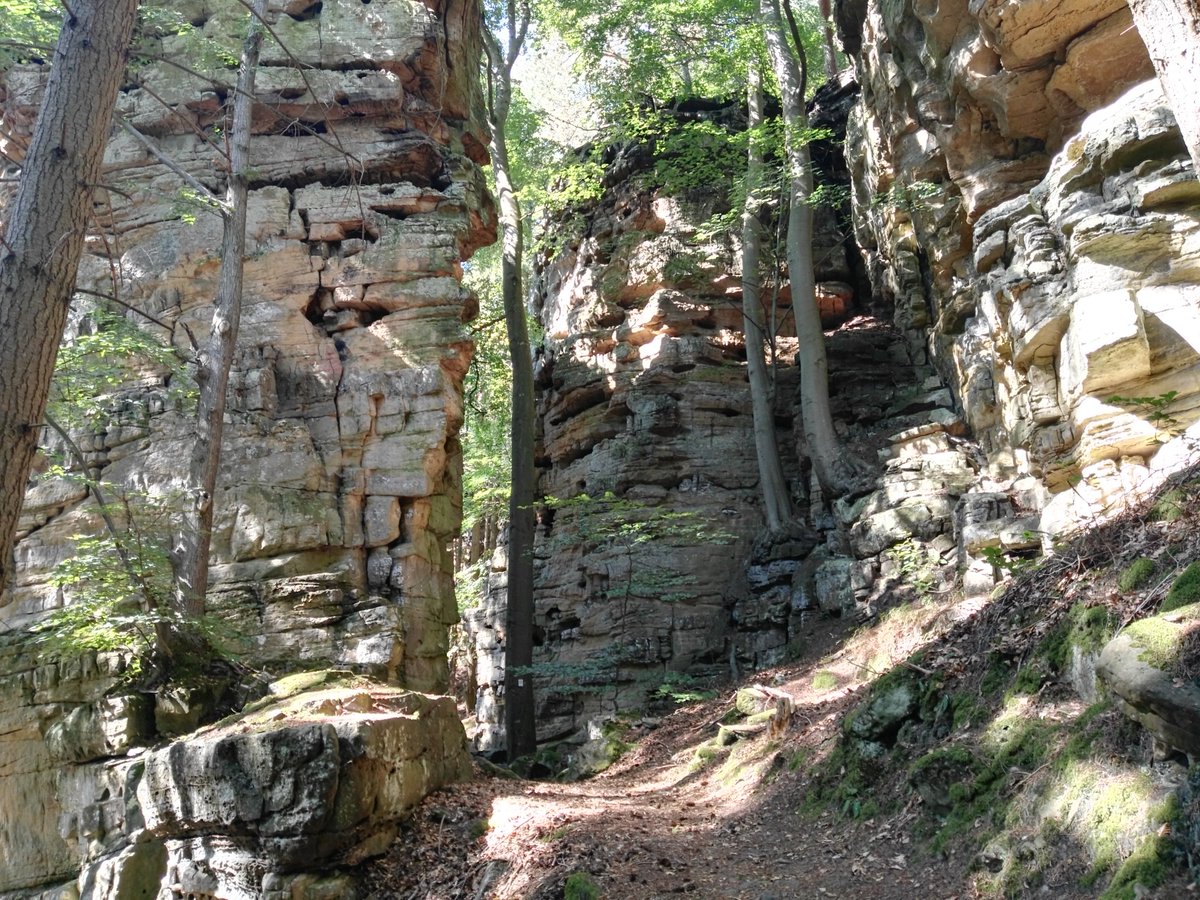 Skizzenbildner's tweet photo. Hier noch ein paar Bilder von meiner gestrigen Tour bei #Ernzen. Zu sehen sind die beeindruckenden Felsenpfade des Prümtals, die dortige Hopfenplantage und das Naturdenkmal Falkenlay. #Wandern #Sommer2018 https://t.co/yr7sHbX0k4