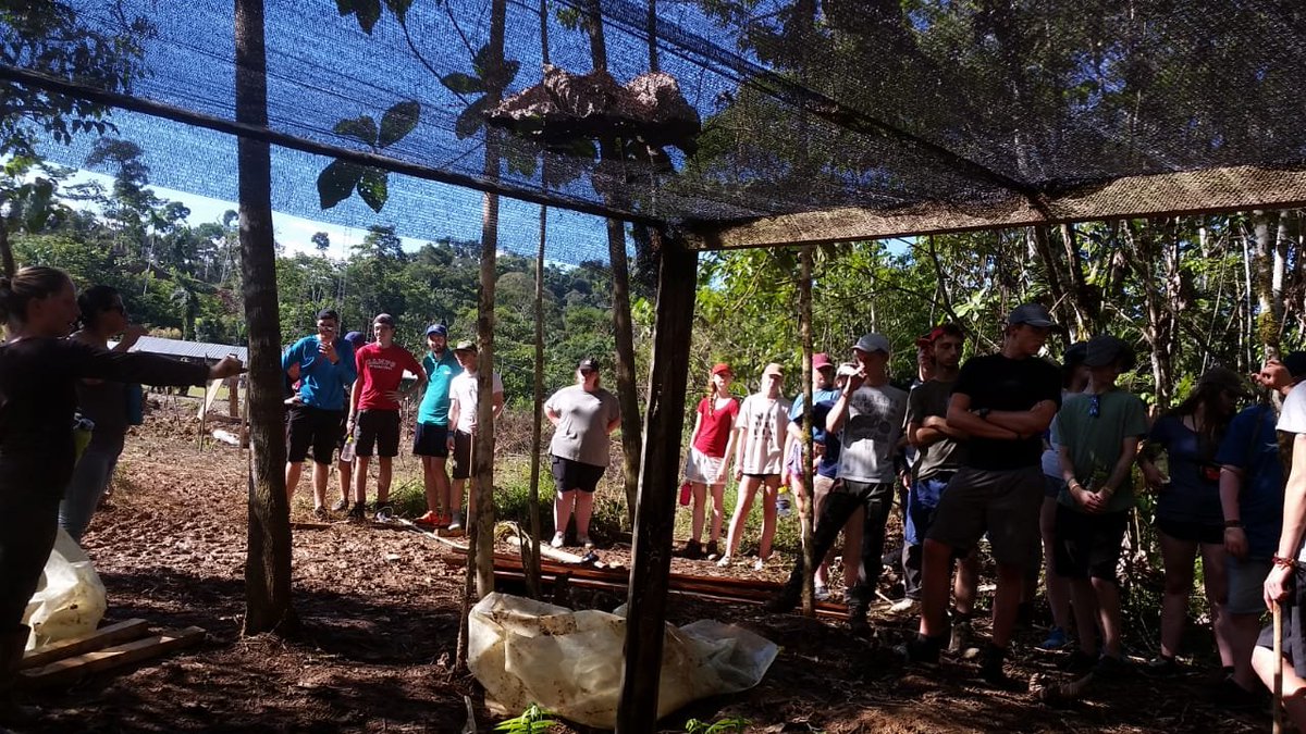 CampEcuador's tweet photo. #TeamGuayas at #CampChilliUrku receiving the briefing about projects for the community, this one is about a nursery to preserve the ancient knowledge of medicinal plants🌿#DoSomethingAmazing #CampsEffect @CampsInt https://t.co/TAu2MyiOuz
