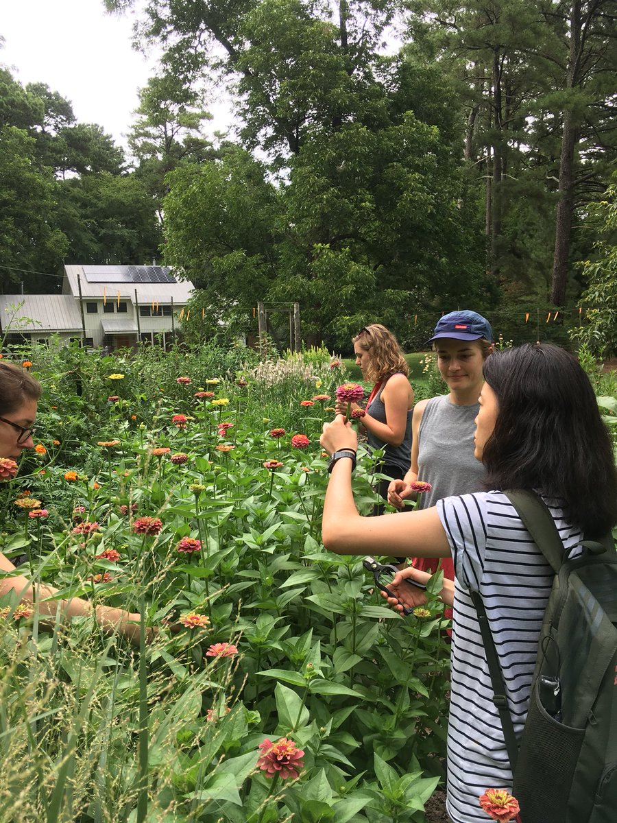 Emily Mueller tweet media