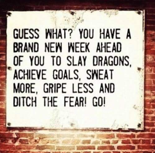 alikay316's tweet image. #STARTITOFFRIGHT