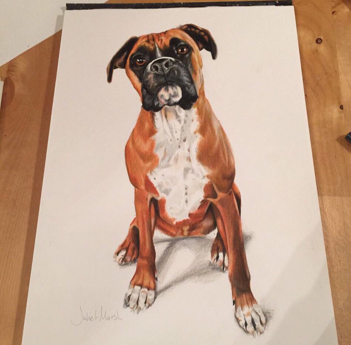 Julietmarshy's tweet photo. These are a few years old now and it’s nice to look back at your own work and see how much you have improved and learnt #throwback #art #illustration #drawing #f1 #dog #boxerdog #ayrtonsenna #nicohulkenberg #jensenbutton https://t.co/JfobsUG22B