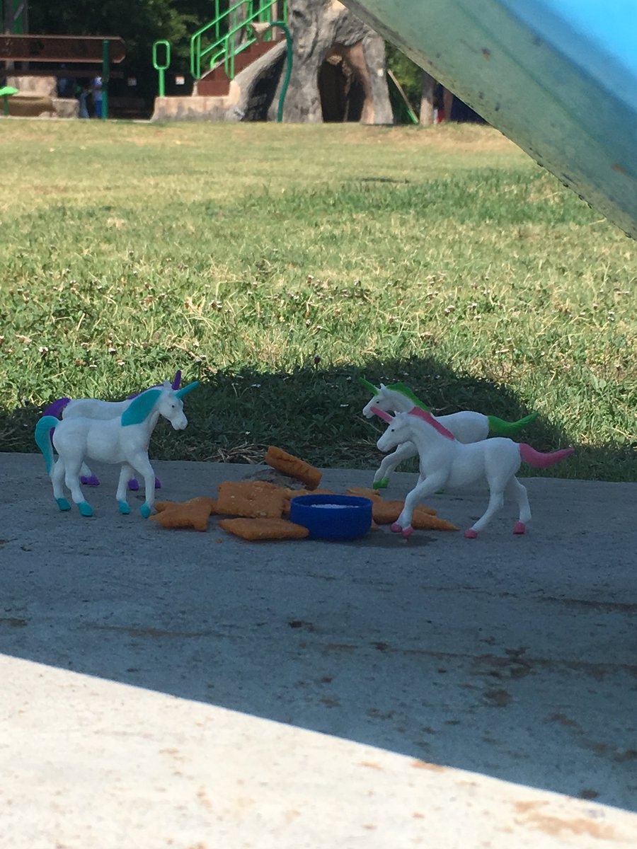 AlanaDFarley1's tweet photo. #haveyouseenmyunicorn 🦄ajl https://t.co/DCn5Dd87wv