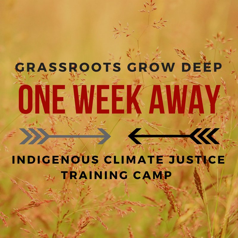 We are excited to be bringing together many incredible #Indigenousleaders from #TarSands impacted communities. This camp will breathe life back into #Indigenous organizing and bring together climate #knowledgekeepers who are working to build a better #future for all.