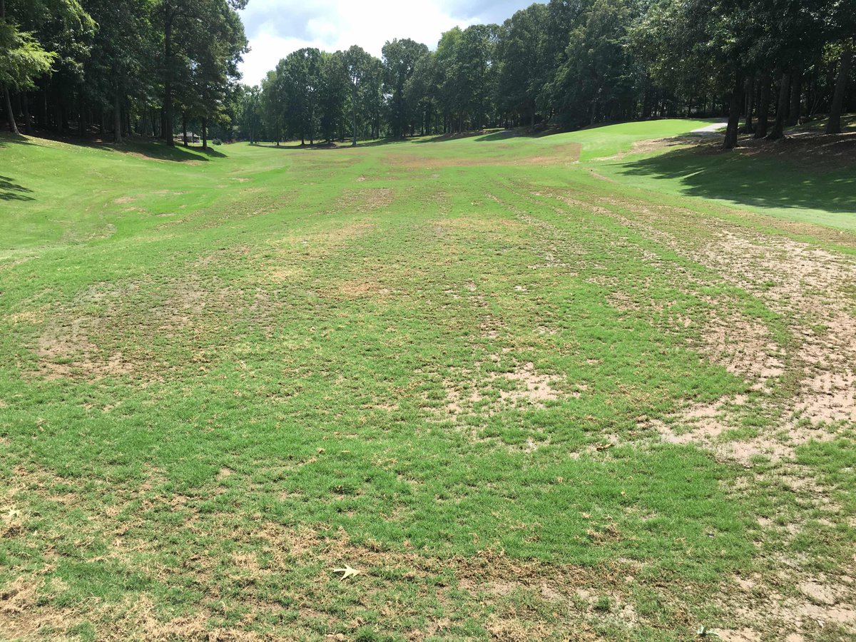 TPCPG's tweet photo. Big shout out to @TurfBeard & @Yara_N_America for the #yaragrowinchallenge, challenge accepted. Their Yara products versus our homemade grow in products. Nitrogen sources rotated by using different products at 1.5 lbs N/M per application. 5 week trail begins today with 1st app. https://t.co/HfnNHIXwDI