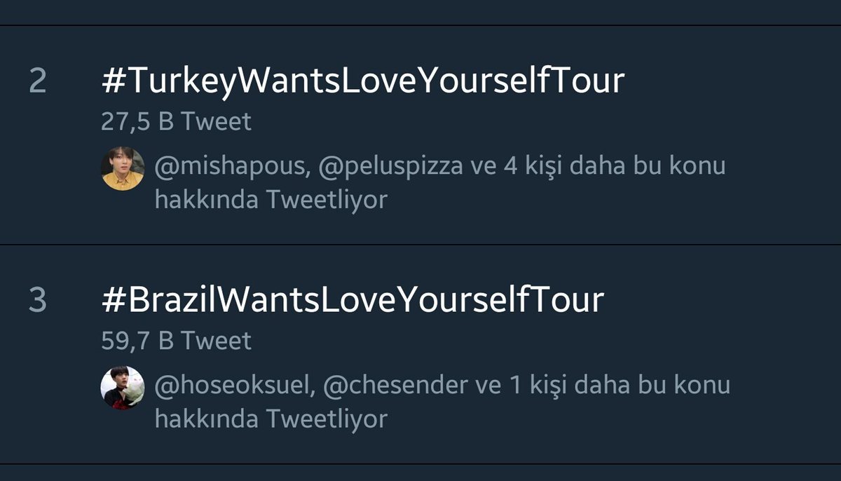 #TurkeyWantsLoveYourselfTour bu ne amk bighit gör bunları