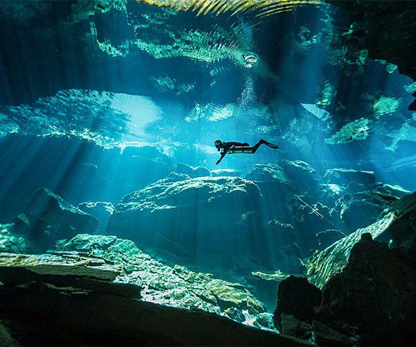 A Luxury Travel Blog tweet media