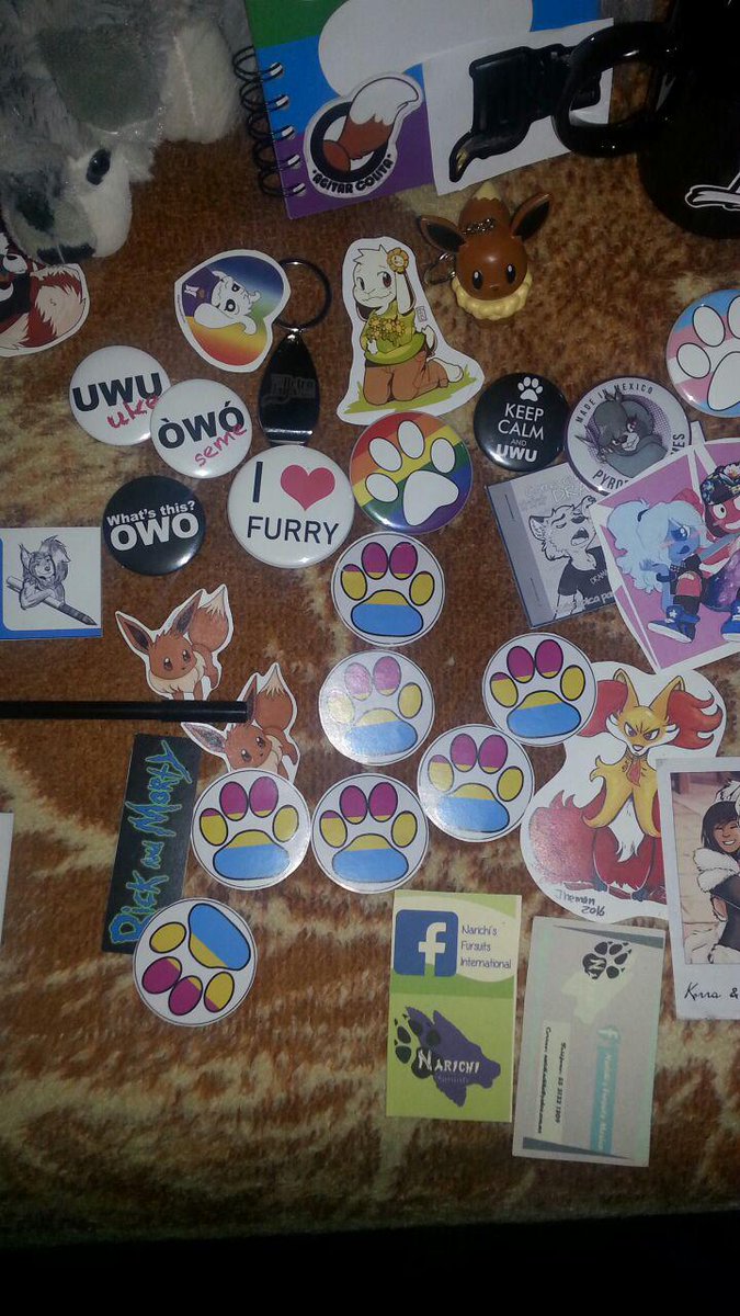 sadcat16hrz's tweet photo. Todo Lo que compre en la @FurrySummerMx xD https://t.co/iNDEyCUtoi