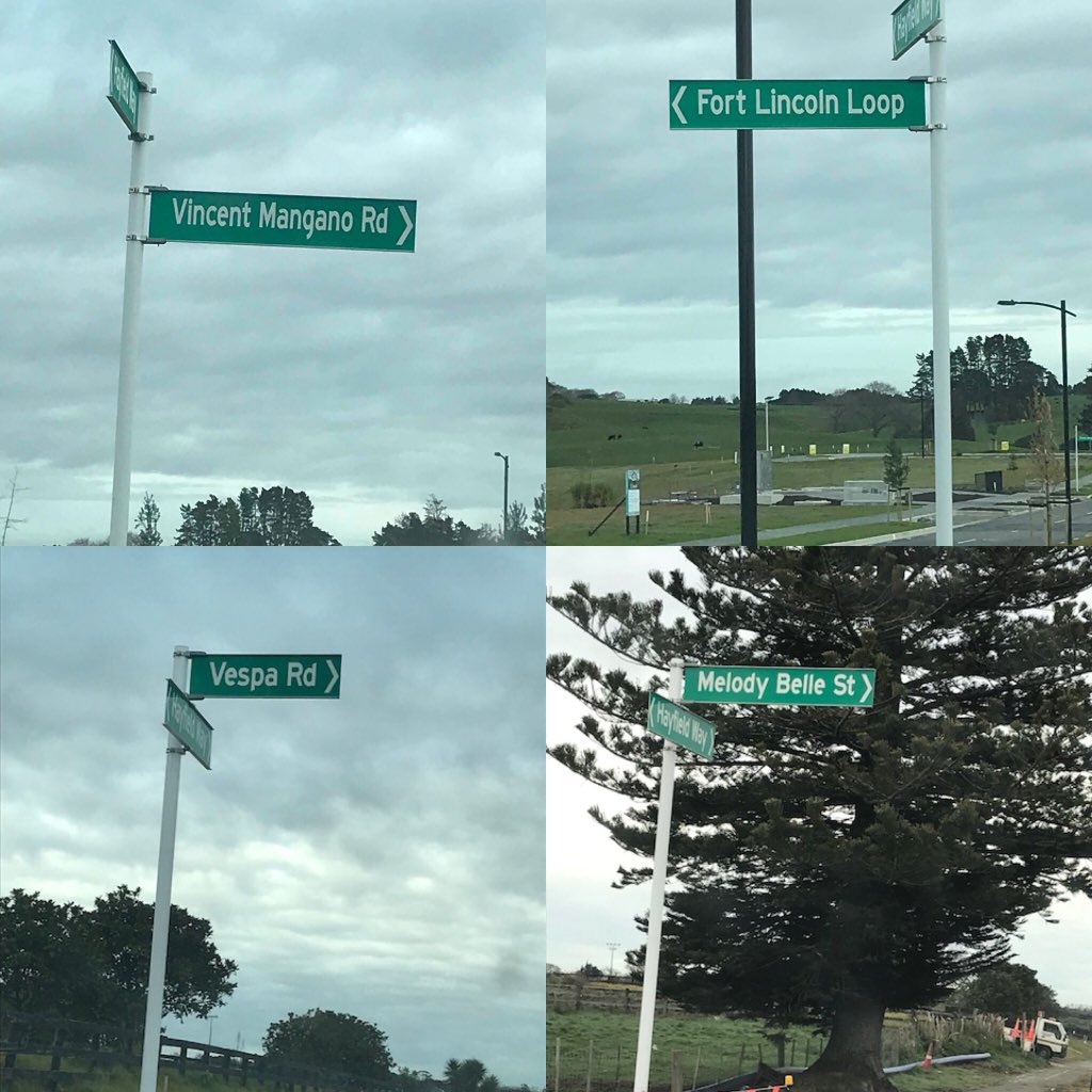 ASeabrookNZB's tweet image. Great to see our local council embrace the thoroughbred industry by naming 4 roads after Karaka Million winners ’08 Vincent Mangano ‘11 Fort Lincoln ‘14 Vespa ‘’17 Melody Belle. Hopefully more to come.