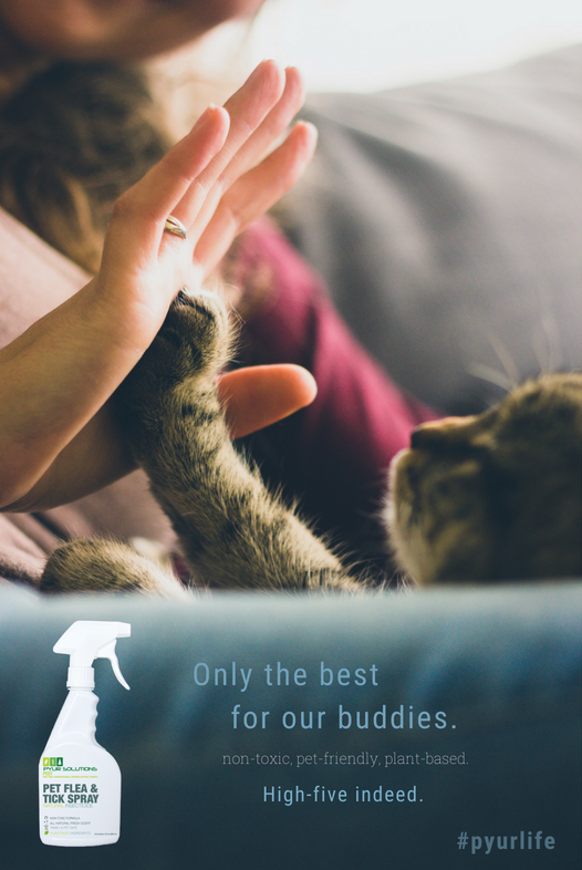 PyurSolutions's tweet photo. If our furry friends are family, why expose them to chemicals we wouldn't want upon ourselves? 
Our formulation for calming itch-defense is safe and easy to use. Always non-toxic, plant-based, and biodegradable. #pyursolutions
Shop at: https://t.co/wHX3g3So6P https://t.co/TOBbFRJFMM