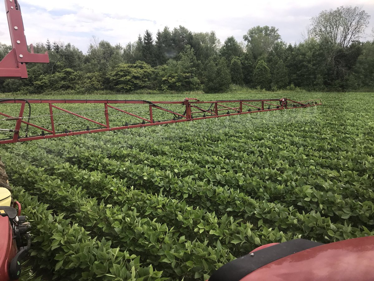 j_0Neil's tweet photo. Protecting yield potential on some sharp looking DKB 20-14. Stratego Pro, Foilar Fertilizer and some Round up to get the last flush of weeds. Hopefully #binbusters #XtendYourYield #spray18 https://t.co/rA458Jcydy