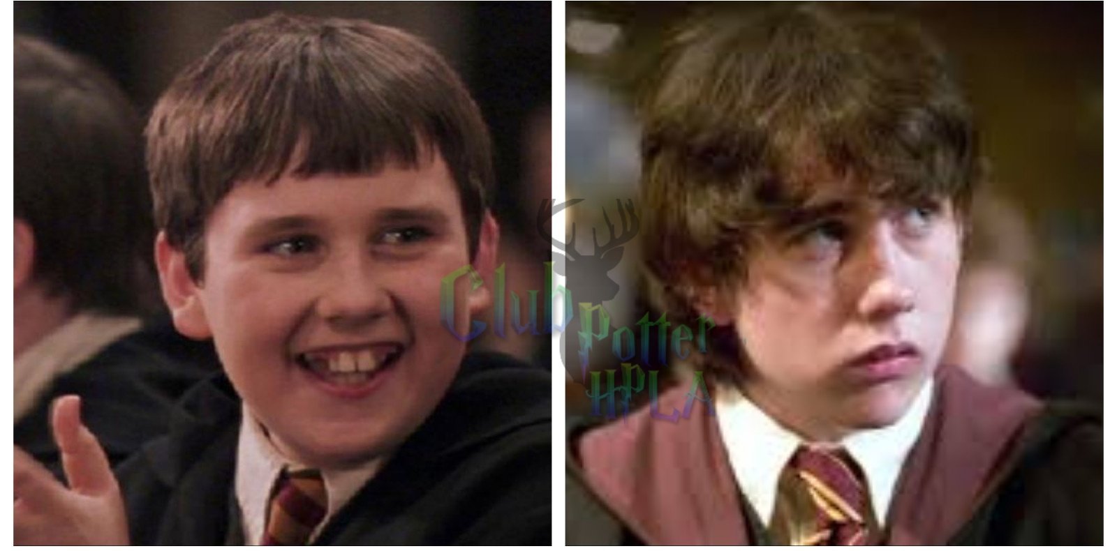 Happy Hogwarts Birthday
Neville Longbottom 