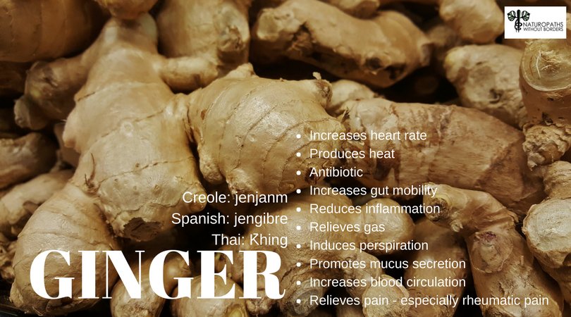 NWB_Global's tweet photo. Do you like ginger? What's your favorite ginger recipe?
#Ginger #foodismedicine #diet #naturepharmacy #naturopathicmedicine #ND #nutrition #food #gingerale #gingerbeer #healthbenefits #gingerbenefit https://t.co/c9ETVKo6MV