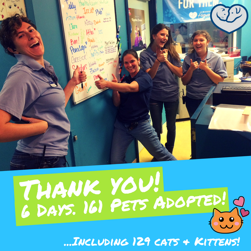 lawrencehumane's tweet photo. Me-WOW! 129 #cats and #kittens found homes in just 6 days during our #MeowttaThisWorld special. Thank you to everyone who adopted and spread the word!
#LFK #petsLFK https://t.co/vVi384G6X7