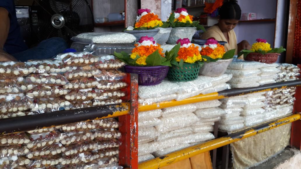shashikalarajw1's tweet photo. There must be some #positiveforces working on us to visit holy abode #Omkareshwar to seek his #blessings and that too on #FirstMondayOfShravan Truly calming experience.
Mighty #Narmada flowing by the temple  🙏🙏 https://t.co/vLEac61MpG