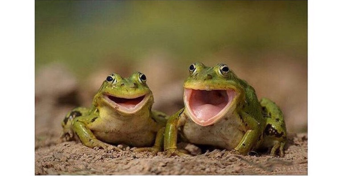 Todos tenemos alguien que nos hace reír así.