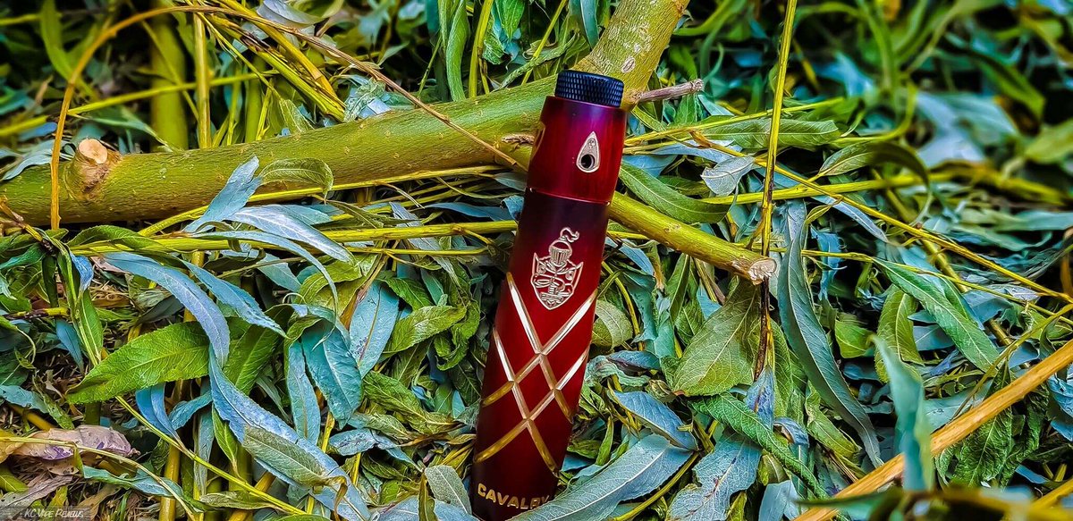 Vapor_Jason's tweet photo. It's a picture from lumberman, I think so.
#vapeoutdoor #vapework #vapecheck #vapefashion #vapedaily #vapeshot #vapenews #vapereviews #serisvape #cavalryv2kit https://t.co/fsZcJTR3S5