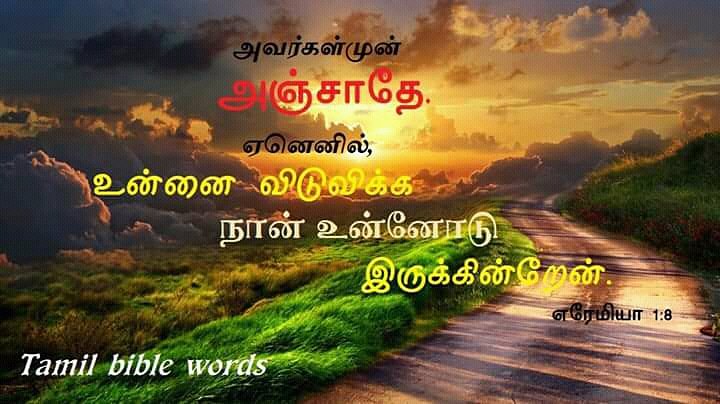 tamil bible verse today tamil bible verse today
