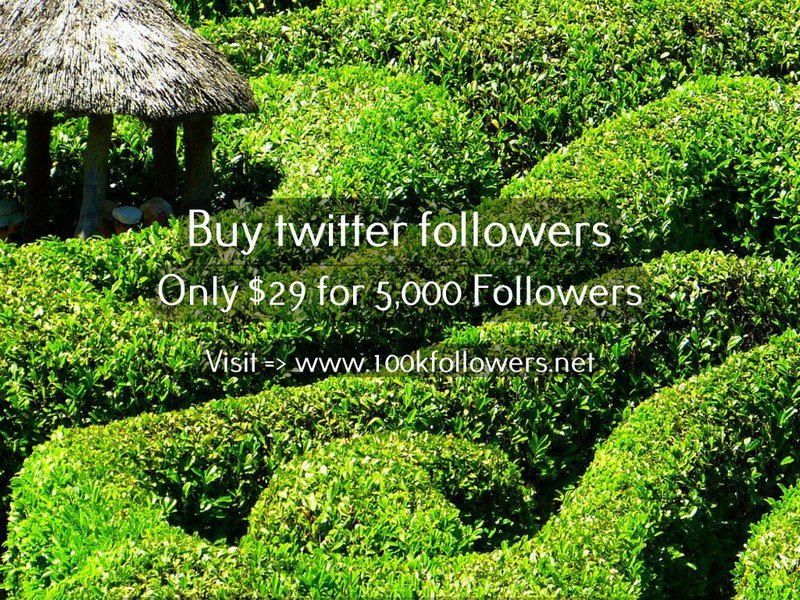 #WhoIsAmerica It's a great day to be popular on Twitter! Buy 5000 Followers for $29! See here goo.gl/xCEEN4