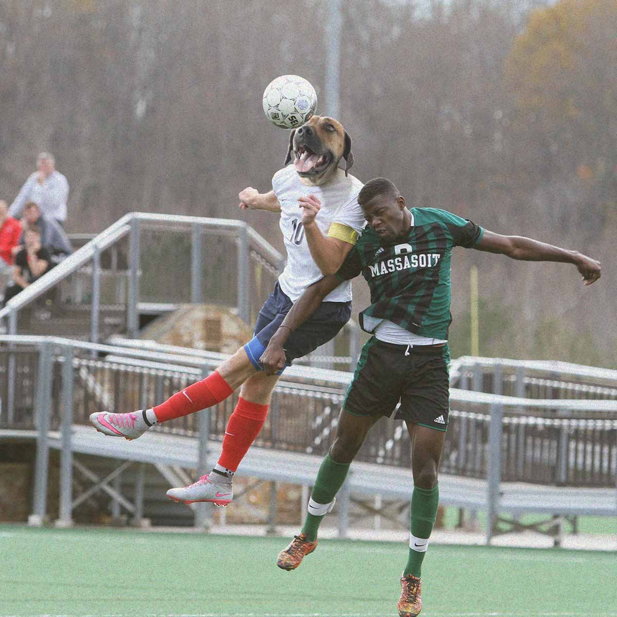 Spend more time on things that matter to you. Everman is a brand of classic menswear essentials that never change. Made for men who play hard and work smart. Or just hate shopping. Exclusively available at evermanapparel.co.za with free next-day deliveries and free returns.