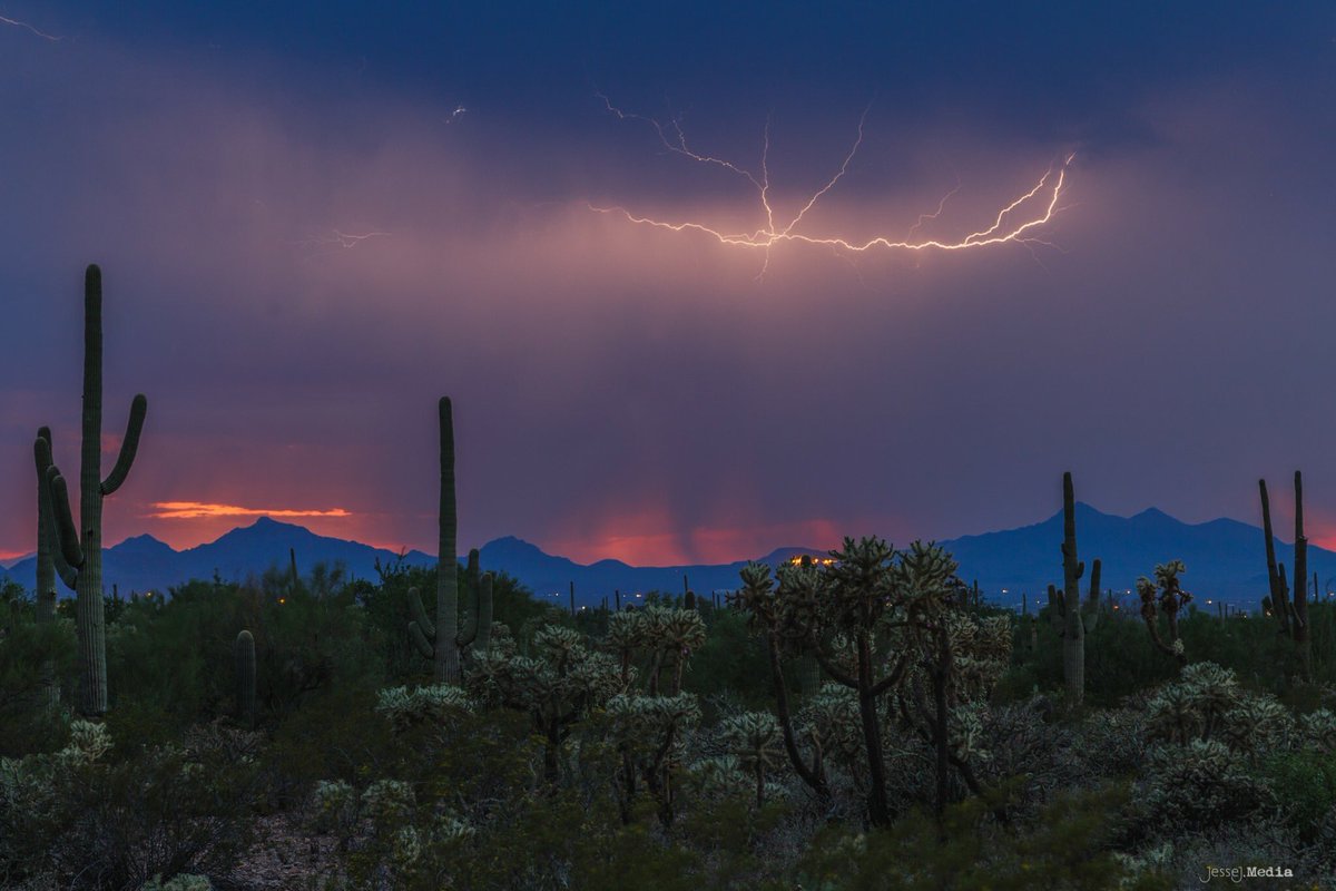desertmuseum's tweet image. WHOAH. ⛈ #weekendwow 

📸: JesseJ.Media