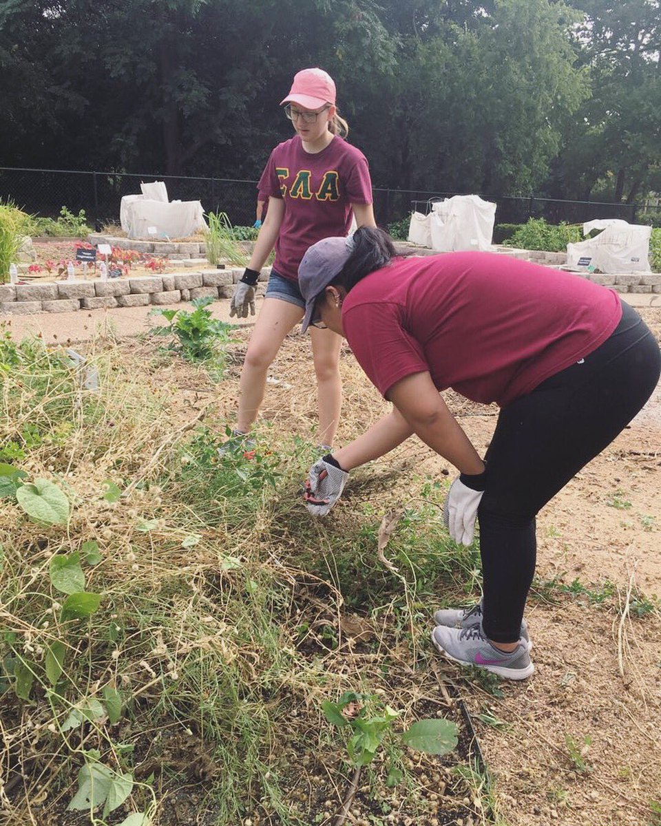 utsamgc's tweet photo. Our sisters of Sigma Lambda Alpha spent this past weekend at their national convention! #utsasla #utsagreeklife https://t.co/RVI3Z4NHvp