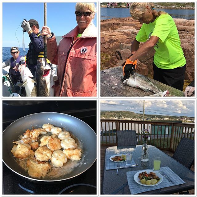 WWHYTE_LSSD's tweet photo. Dinner....5 hrs. from the ocean to the plate! #fogoisland #newfoundland #codtongues https://t.co/wQEb8BfI9Z https://t.co/fiqGlPFGxX