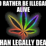 Image for the Tweet beginning: #enoughisenough #legalisecannabisnow #wewilldefy #cannabissaveslives #iamnotacriminal