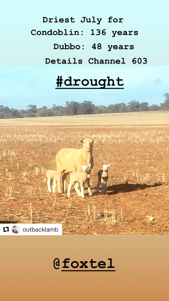 jaynieseal's tweet photo. #Condoblin in #NSW only recording 0.7mm for #July There is the CHANCE we could get inland #rain about a week away but a great deal of uncertainty. Full details Channel 603 @SkyWeatherAUS #drought2018 https://t.co/s6GAi6Wld3