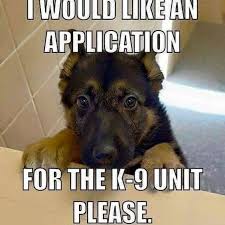 KKConleyBooks's tweet photo. Check out my #suspense #thriller #mystery #novel #bookreviews at https://t.co/Iia7lx8sBY    #humor #K9 #puppy #read https://t.co/Cv5w7x9lfy
