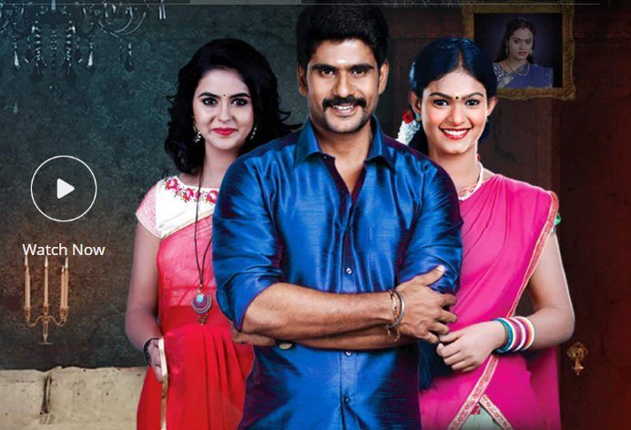 saravanan meenakshi today episode tamildhool saravanan meenakshi today episode tamildhool