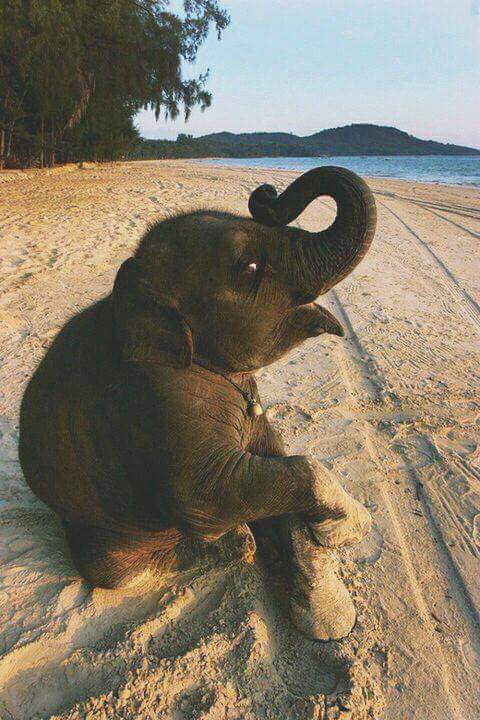 Preocupate mas por tu conciencia que por tu reputación. 

Tu conciencia es lo que eres, tu reputación es lo que otros piensan de ti. 

Y lo que otros piensen de ti, es su problema. Charlie Chaplin